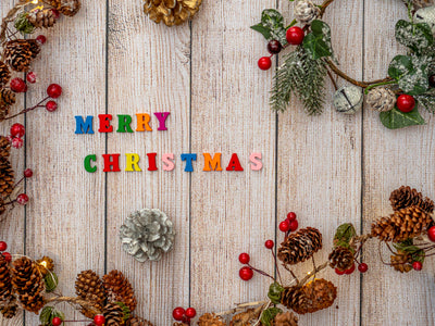 The perfect gift for Christmas --- Kugoo S1plus!