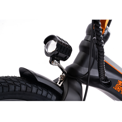 KUKIRIN V2 Faltbares Elektrofahrrad | Herausnehmbarer Akku | 25 km/h Höchstgeschwindigkeit